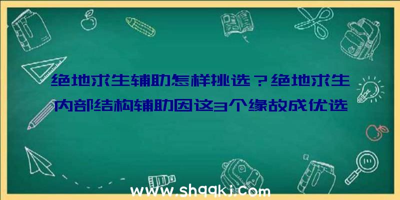 绝地求生辅助怎样挑选？绝地求生内部结构辅助因这3个缘故成优选