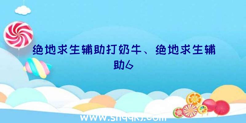 绝地求生辅助打奶牛、绝地求生辅助6