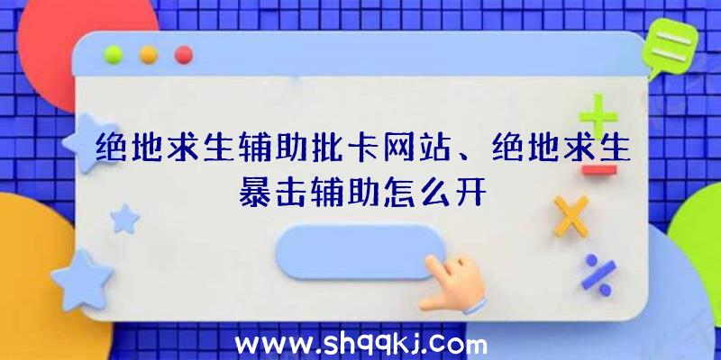 绝地求生辅助批卡网站、绝地求生暴击辅助怎么开