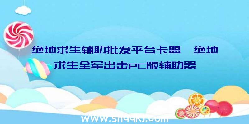 绝地求生辅助批发平台卡盟、绝地求生全军出击PC版辅助器