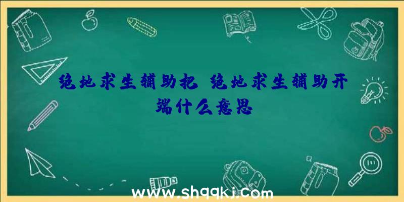 绝地求生辅助把、绝地求生辅助开端什么意思