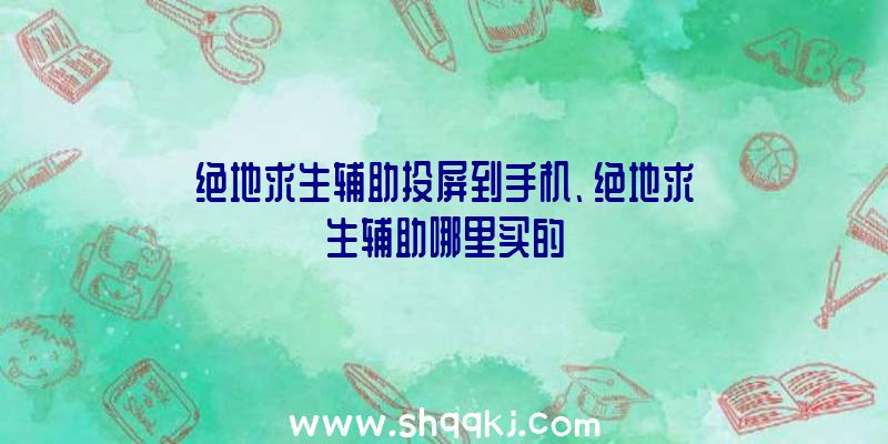 绝地求生辅助投屏到手机、绝地求生辅助哪里买的