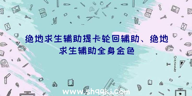 绝地求生辅助提卡轮回辅助、绝地求生辅助全身金色