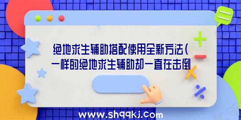 绝地求生辅助搭配使用全新方法（一样的绝地求生辅助却一直在击倒敌人的作用比不上他人）