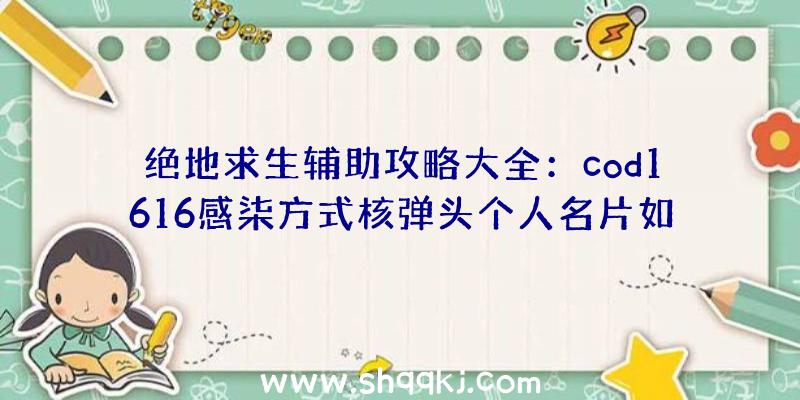 绝地求生辅助攻略大全：cod1616感柒方式核弹头个人名片如何得