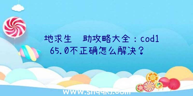 绝地求生辅助攻略大全：cod165.0不正确怎么解决？