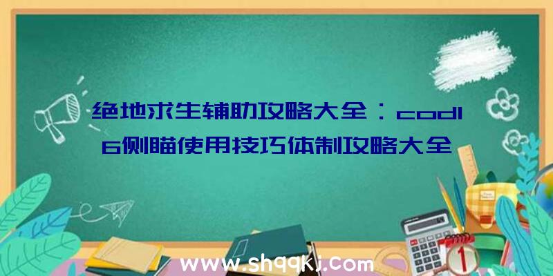 绝地求生辅助攻略大全：cod16侧瞄使用技巧体制攻略大全