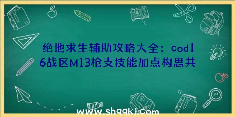 绝地求生辅助攻略大全：cod16战区M13枪支技能加点构思共享