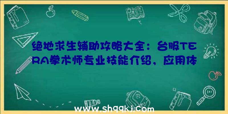 绝地求生辅助攻略大全：台服TERA拳术师专业技能介绍，应用体会心得