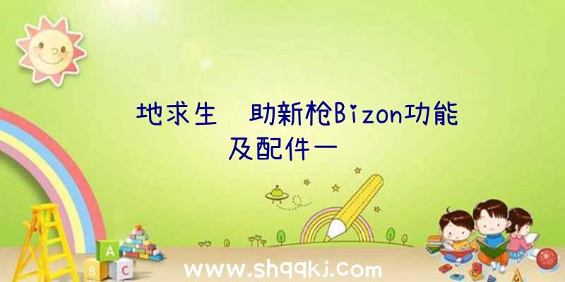 绝地求生辅助新枪Bizon功能及配件一览