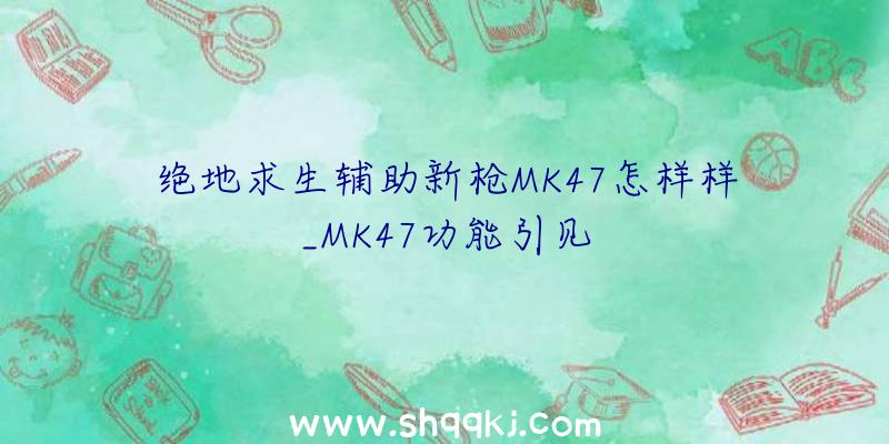 绝地求生辅助新枪MK47怎样样_MK47功能引见