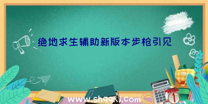 绝地求生辅助新版本步枪引见