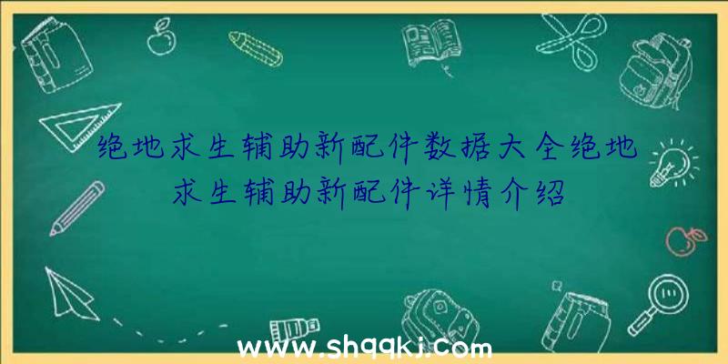 绝地求生辅助新配件数据大全绝地求生辅助新配件详情介绍