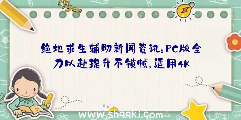 绝地求生辅助新闻资讯：PC版全力以赴提升不锁帧、适用4K