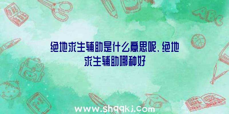 绝地求生辅助是什么意思呢、绝地求生辅助哪种好