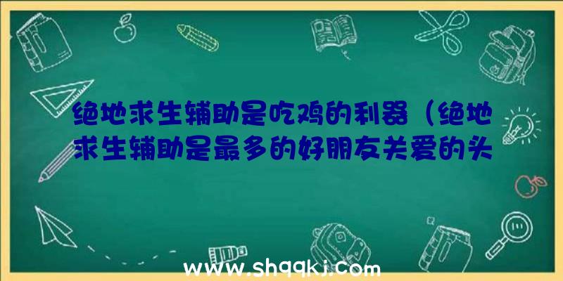 绝地求生辅助是吃鸡的利器（绝地求生辅助是最多的好朋友关爱的头等大事难点）