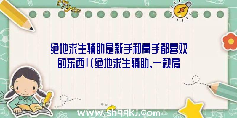 绝地求生辅助是新手和高手都喜欢的东西！（绝地求生辅助,一款肩负初学者、高手练习与弥补机械能）