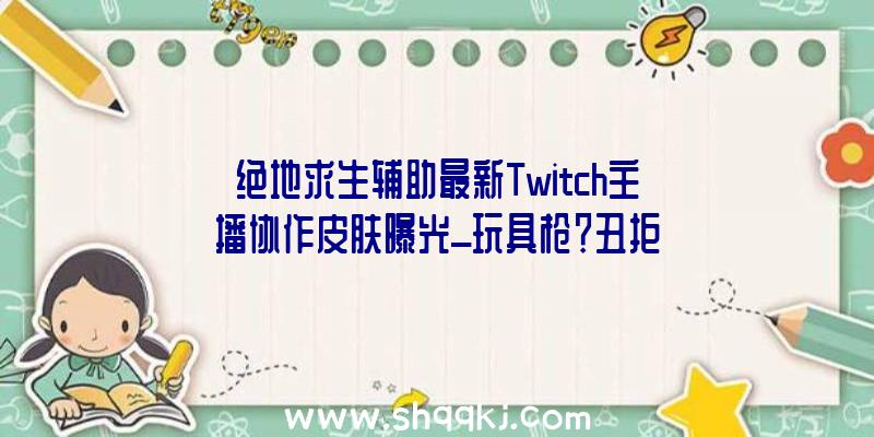 绝地求生辅助最新Twitch主播协作皮肤曝光_玩具枪？丑拒