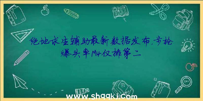 绝地求生辅助最新数据发布，步枪爆头率M4仅排第二