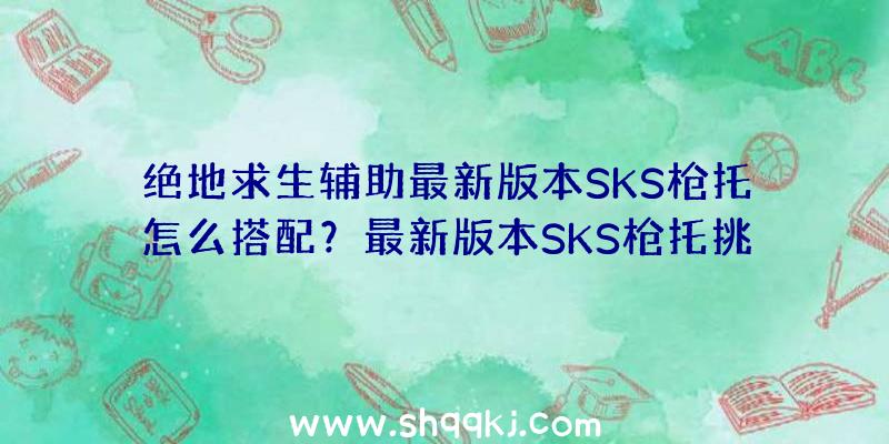 绝地求生辅助最新版本SKS枪托怎么搭配？最新版本SKS枪托挑选配搭