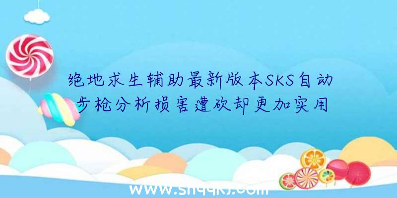 绝地求生辅助最新版本SKS自动步枪分析损害遭砍却更加实用