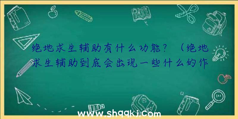 绝地求生辅助有什么功能？（绝地求生辅助到底会出现一些什么的作用？经历详解）