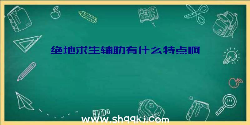 绝地求生辅助有什么特点啊