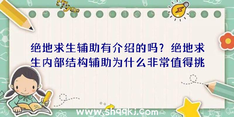 绝地求生辅助有介绍的吗？绝地求生内部结构辅助为什么非常值得挑选