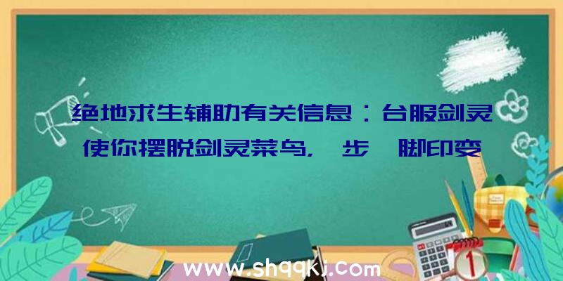 绝地求生辅助有关信息：台服剑灵使你摆脱剑灵菜鸟，一步一脚印变成侠客