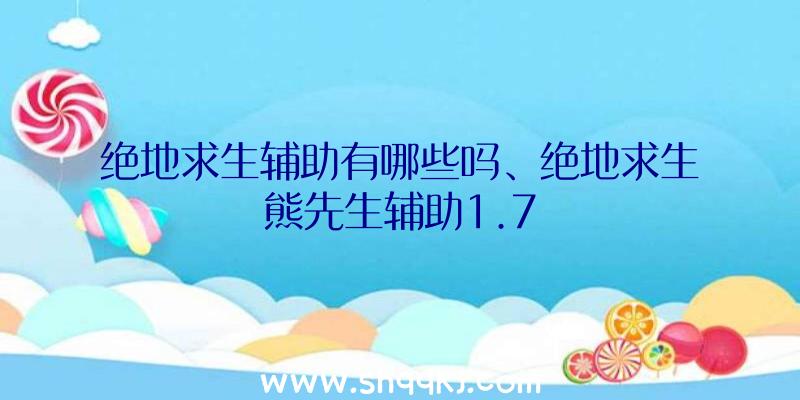 绝地求生辅助有哪些吗、绝地求生熊先生辅助1.7