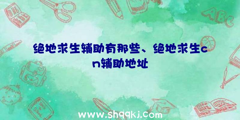 绝地求生辅助有那些、绝地求生cn辅助地址