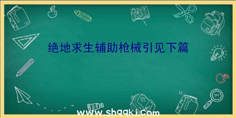 绝地求生辅助枪械引见下篇