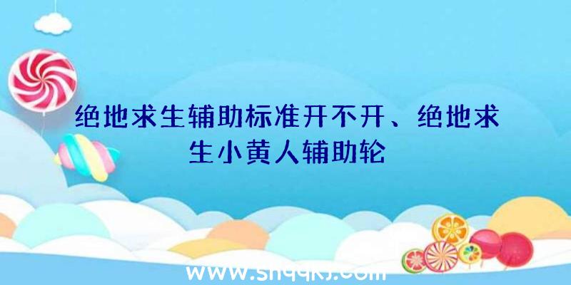 绝地求生辅助标准开不开、绝地求生小黄人辅助轮