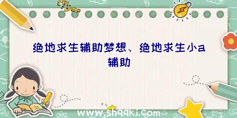 绝地求生辅助梦想、绝地求生小a辅助