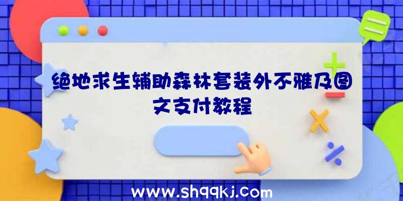 绝地求生辅助森林套装外不雅及图文支付教程