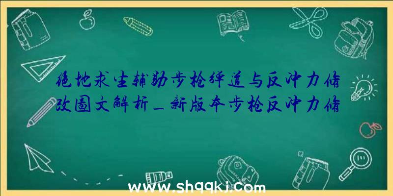 绝地求生辅助步枪弹道与反冲力修改图文解析_新版本步枪反冲力修改