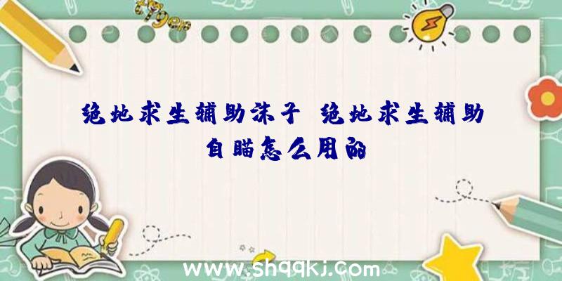 绝地求生辅助沫子、绝地求生辅助自瞄怎么用的