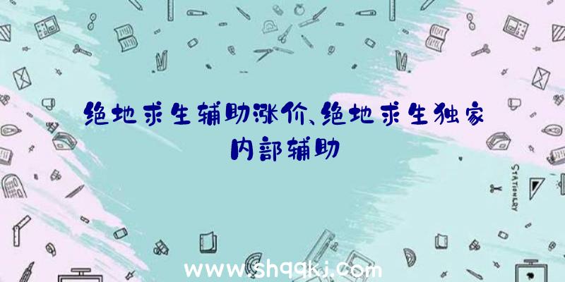 绝地求生辅助涨价、绝地求生独家内部辅助