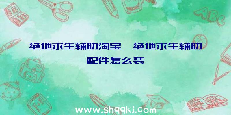 绝地求生辅助淘宝、绝地求生辅助配件怎么装