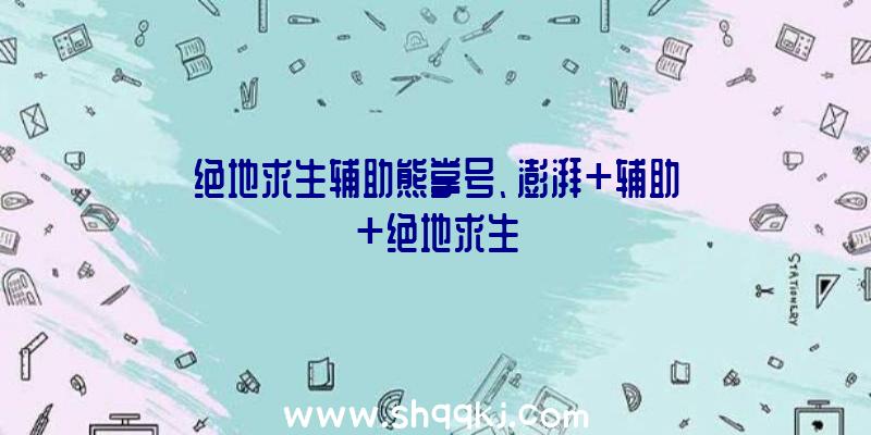 绝地求生辅助熊掌号、澎湃+辅助+绝地求生