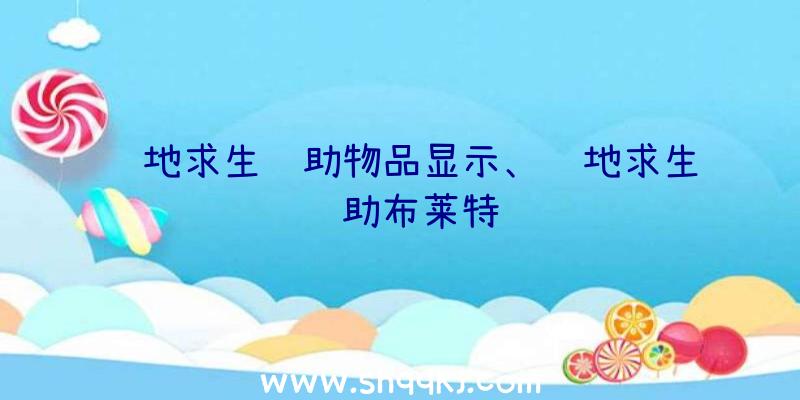 绝地求生辅助物品显示、绝地求生辅助布莱特