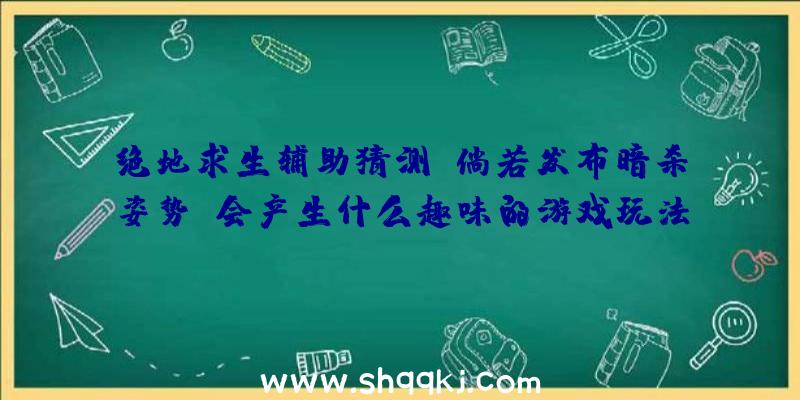 绝地求生辅助猜测：倘若发布暗杀姿势，会产生什么趣味的游戏玩法？