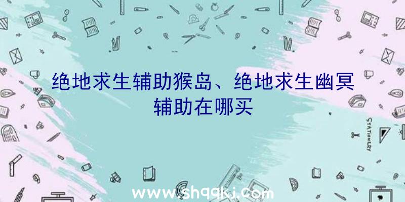 绝地求生辅助猴岛、绝地求生幽冥辅助在哪买