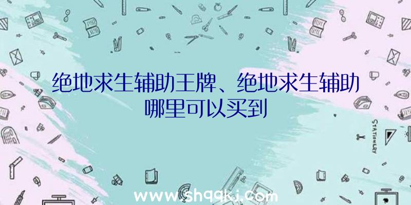 绝地求生辅助王牌、绝地求生辅助哪里可以买到