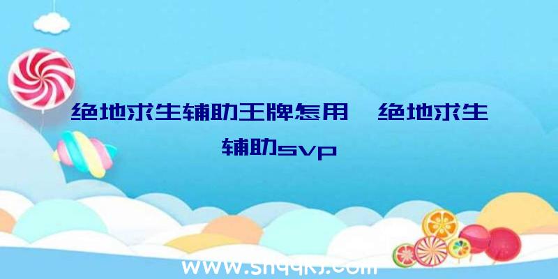 绝地求生辅助王牌怎用、绝地求生辅助svp