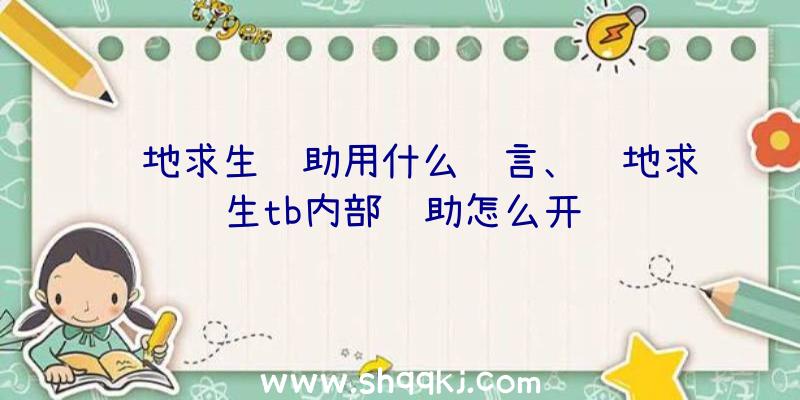 绝地求生辅助用什么语言、绝地求生tb内部辅助怎么开