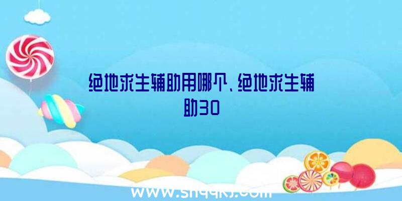 绝地求生辅助用哪个、绝地求生辅助30