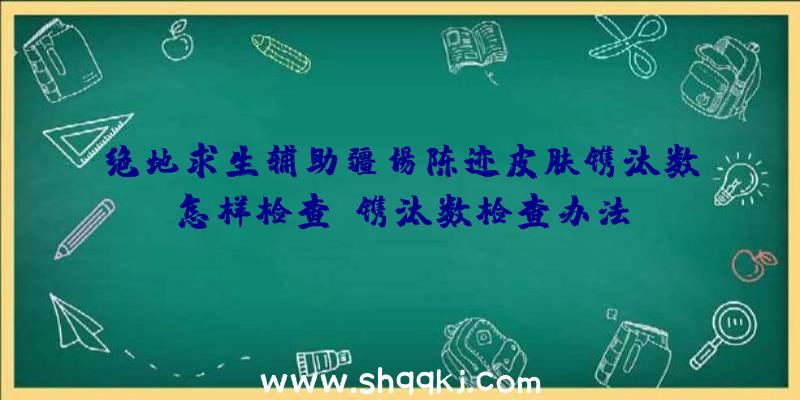 绝地求生辅助疆场陈迹皮肤镌汰数怎样检查-镌汰数检查办法