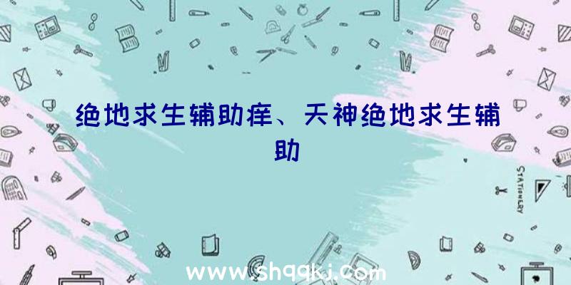 绝地求生辅助痒、天神绝地求生辅助