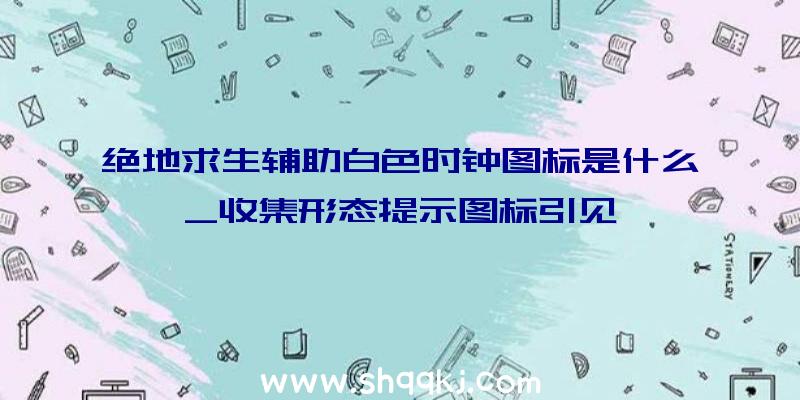 绝地求生辅助白色时钟图标是什么_收集形态提示图标引见